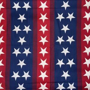 Patriotic Stars and Wide Stripes by Andover Fabrics for QOVF - 1/2 Yard